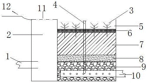 Multi-medium bioretention facility applicable to south red soil region