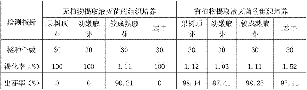 A tissue culture method for improving the survival rate of pearl guava