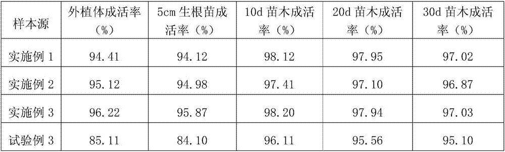 A tissue culture method for improving the survival rate of pearl guava