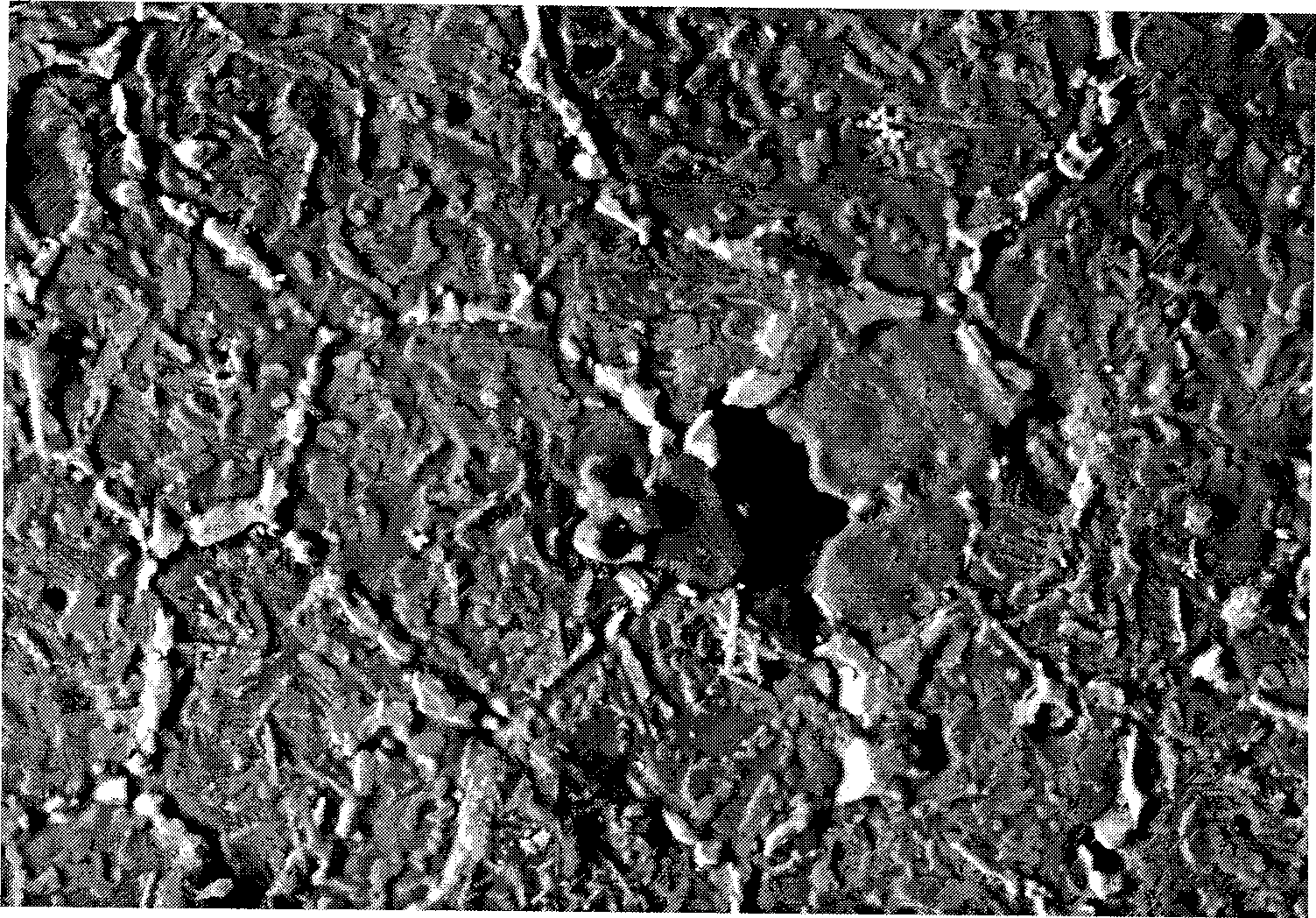 Method for preparing hydration resistant calcia material