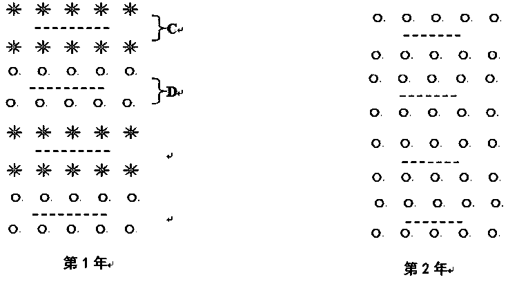 Brush stumping method for caragana korshinskii artificial forest