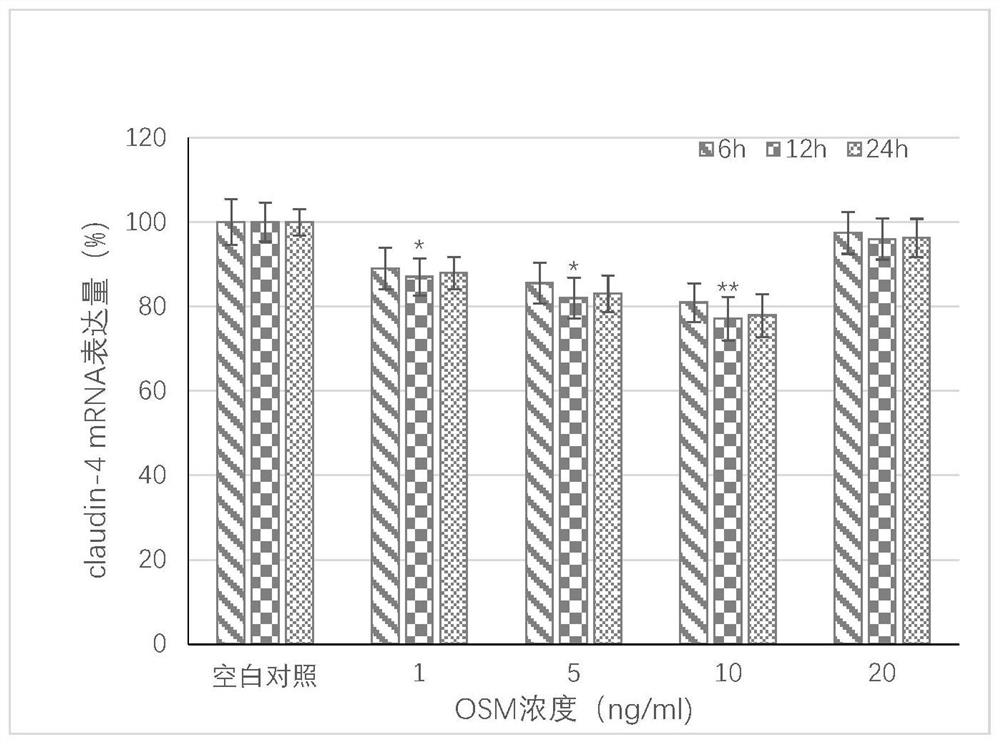 Human nasal mucosa epithelial cell inflammation model induced by oncostatin M combined with lipopolysaccharide as well as preparation method and application