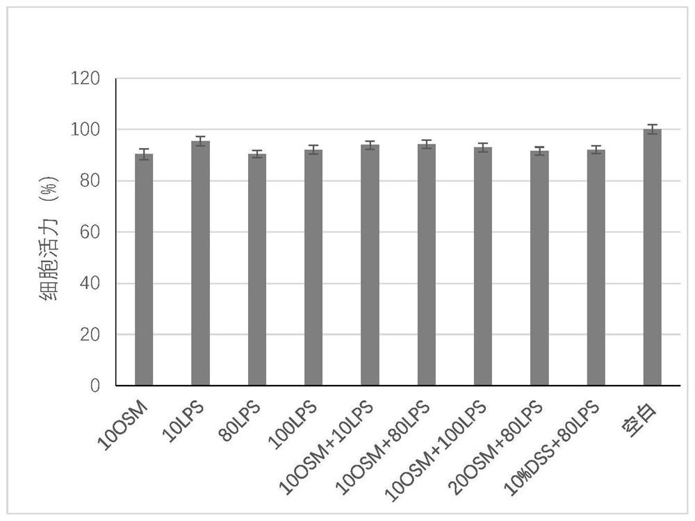 Human nasal mucosa epithelial cell inflammation model induced by oncostatin M combined with lipopolysaccharide as well as preparation method and application