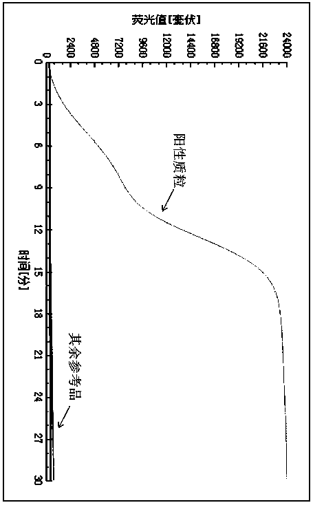 Primer pair for detecting novel coronavirus SARS-CoV-2, probe, composition and kit and application thereof