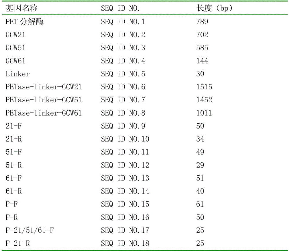 Cell surface exhibition PET decomposing enzyme reorganizable pichia pastoris and structure and application