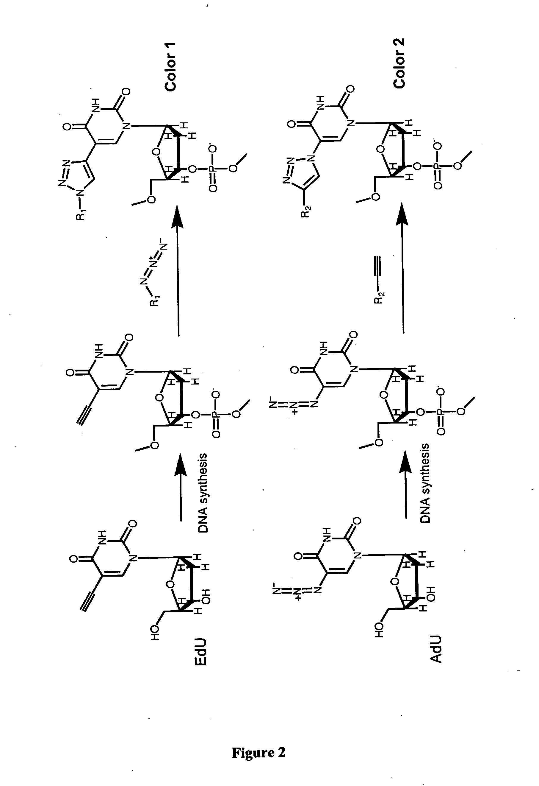 Methods and compositions for labeling nucleic acids