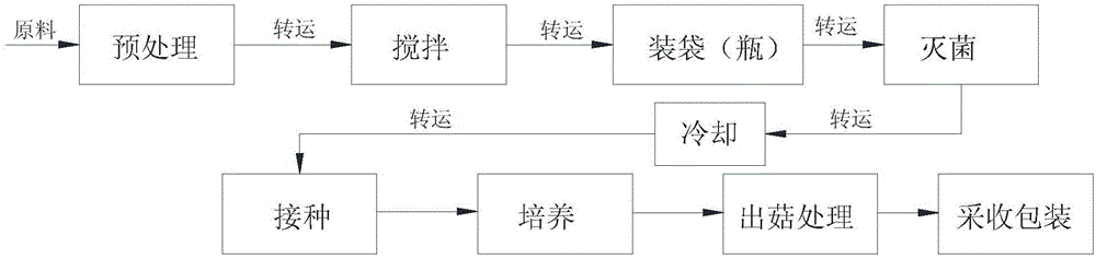 Production equipment for edible mushroom inoculation