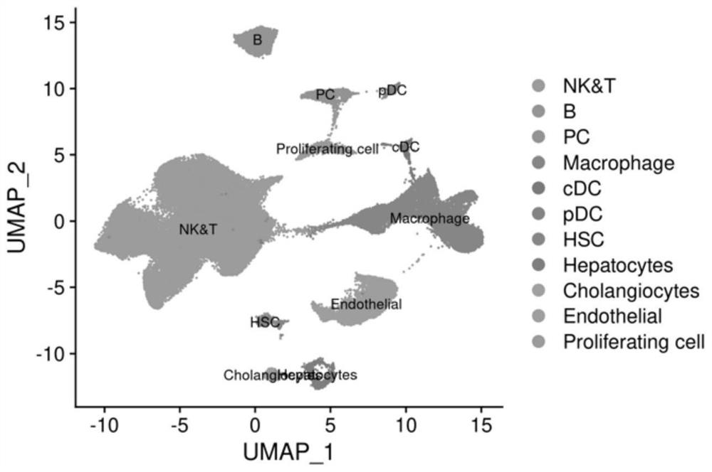 Application of CXCL10+CD274+CD68 + cell population in preparation of chronic hepatitis B prognosis prediction product