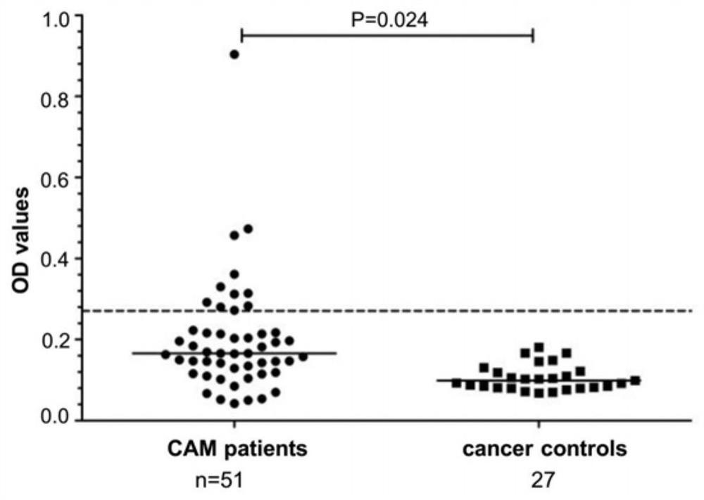 A molecular marker for diagnosing idiopathic inflammatory myopathy and its application