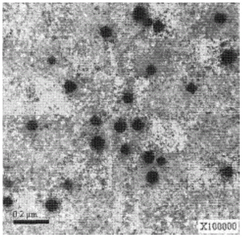 A kind of omeprazole nanoemulsion and preparation method thereof