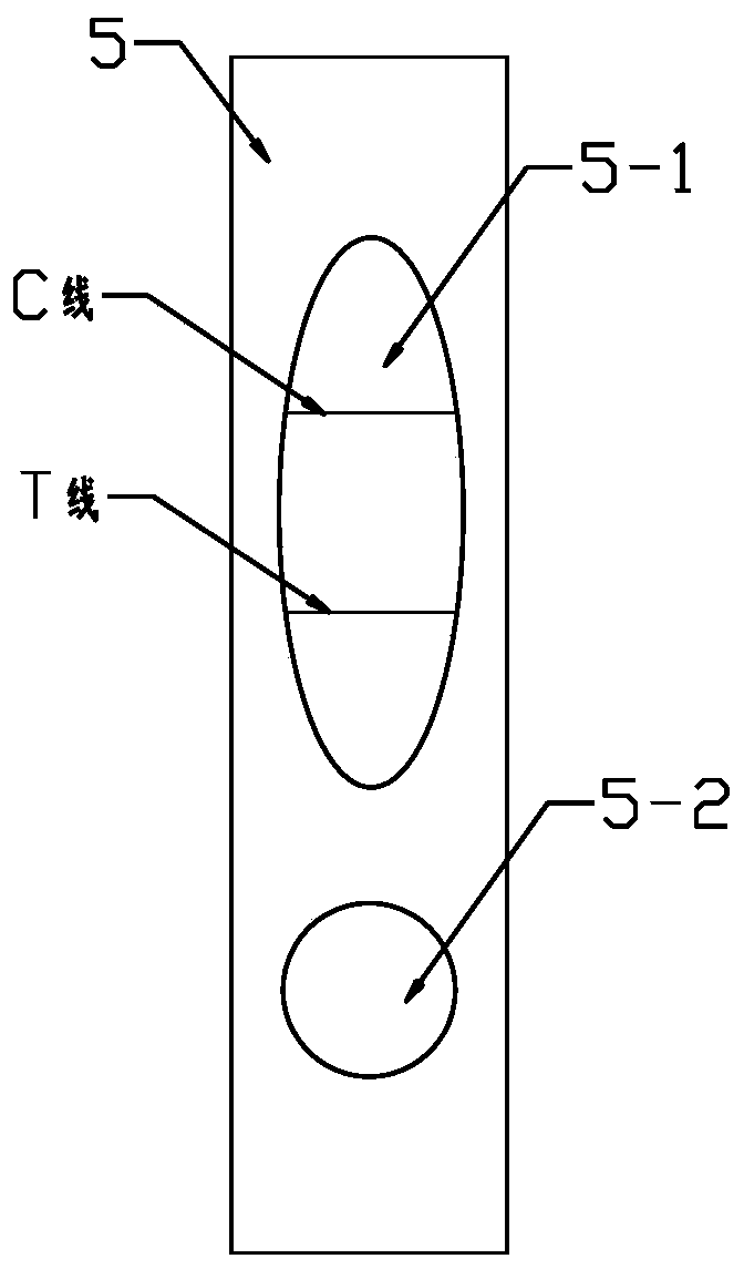 Preparation method and detection method of lettuce mosaic virus nano-enzyme immunochromatographic test strip