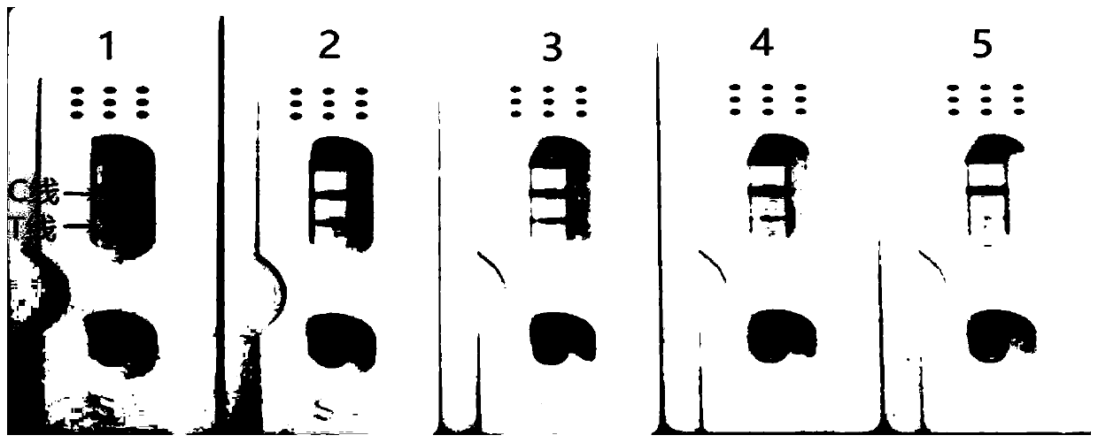 Preparation method and detection method of lettuce mosaic virus nano-enzyme immunochromatographic test strip