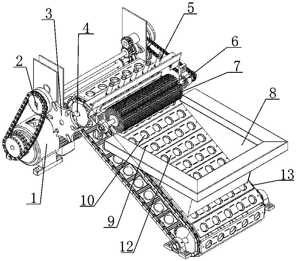 Novel haw coring and slicing integrated device