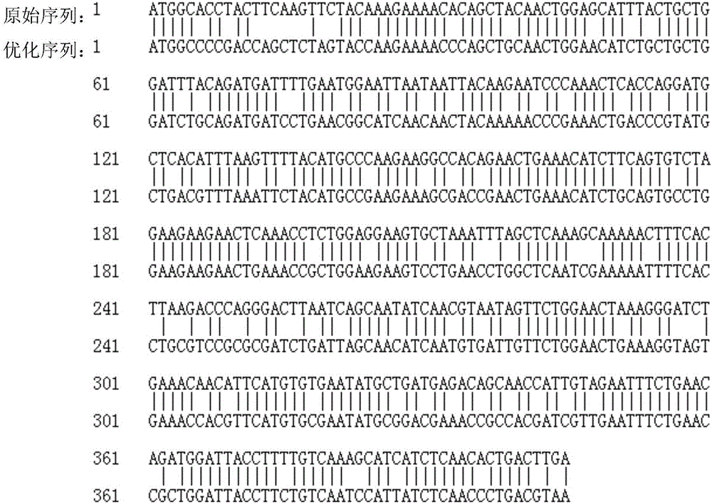 Optimized nucleotide sequence of recombinant human interleukin-2 and high-efficiency soluble expression method