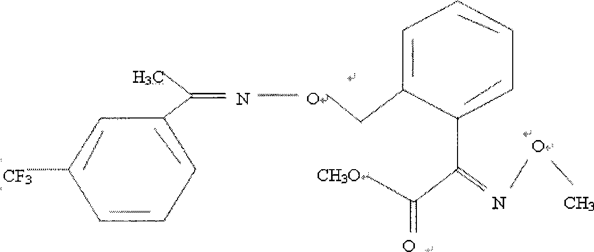 Sterilizing composition