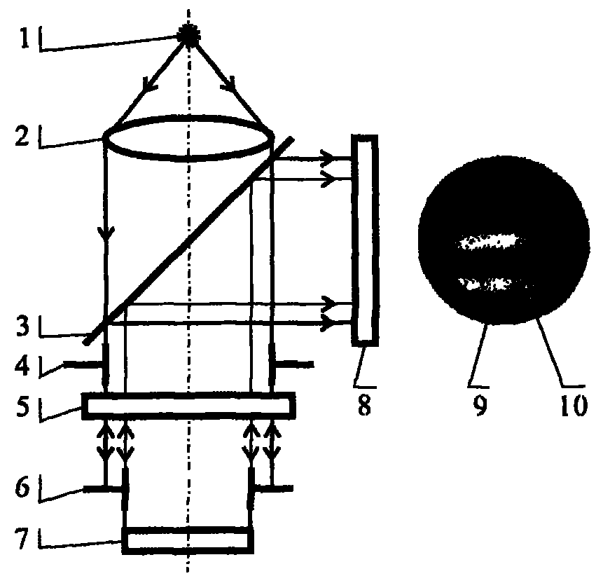 Light intensity correcting method for arranging annular light intensity monitoring section around interferogram