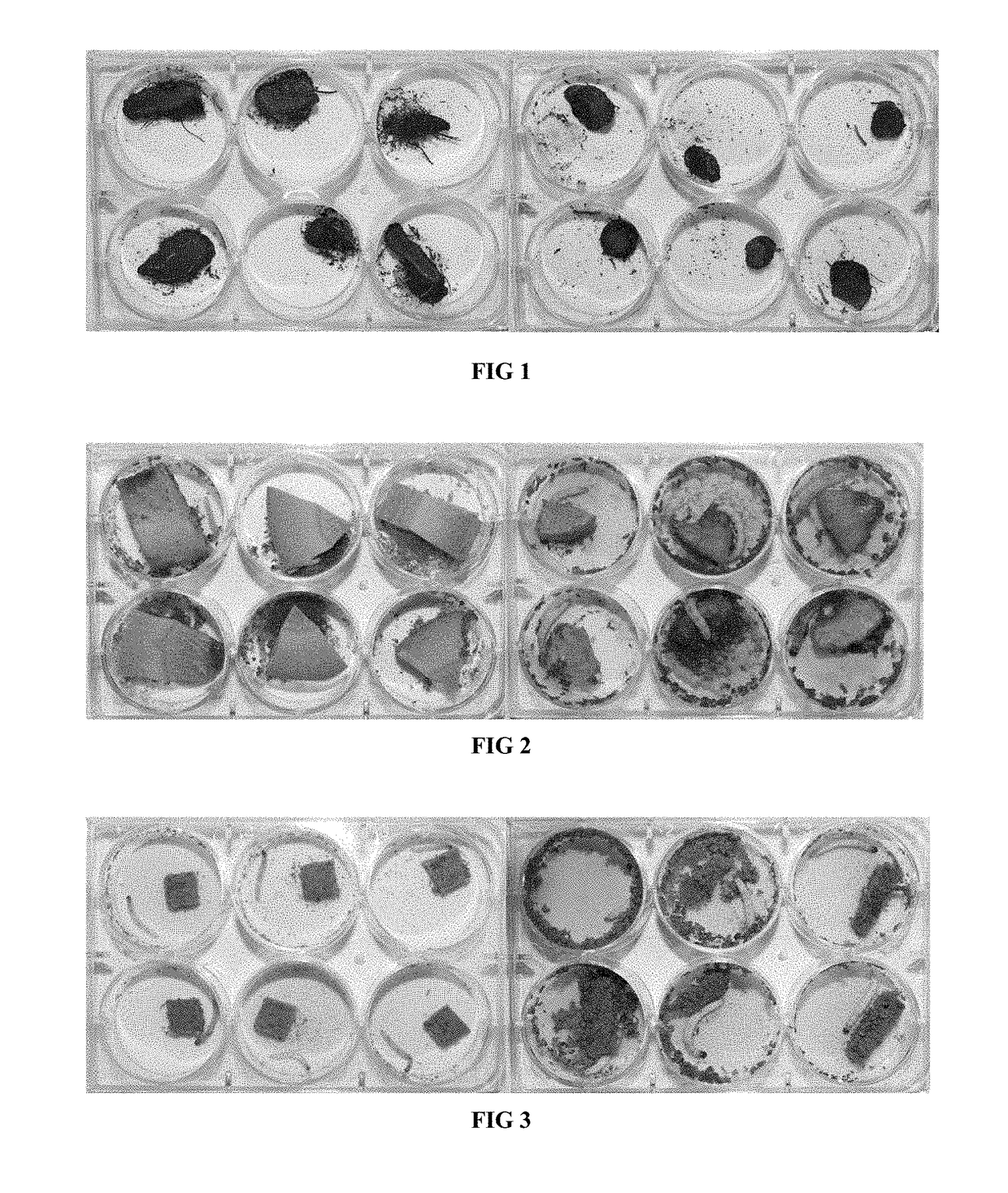 Artificial diet for ghost moth larvae and preparation method thereof