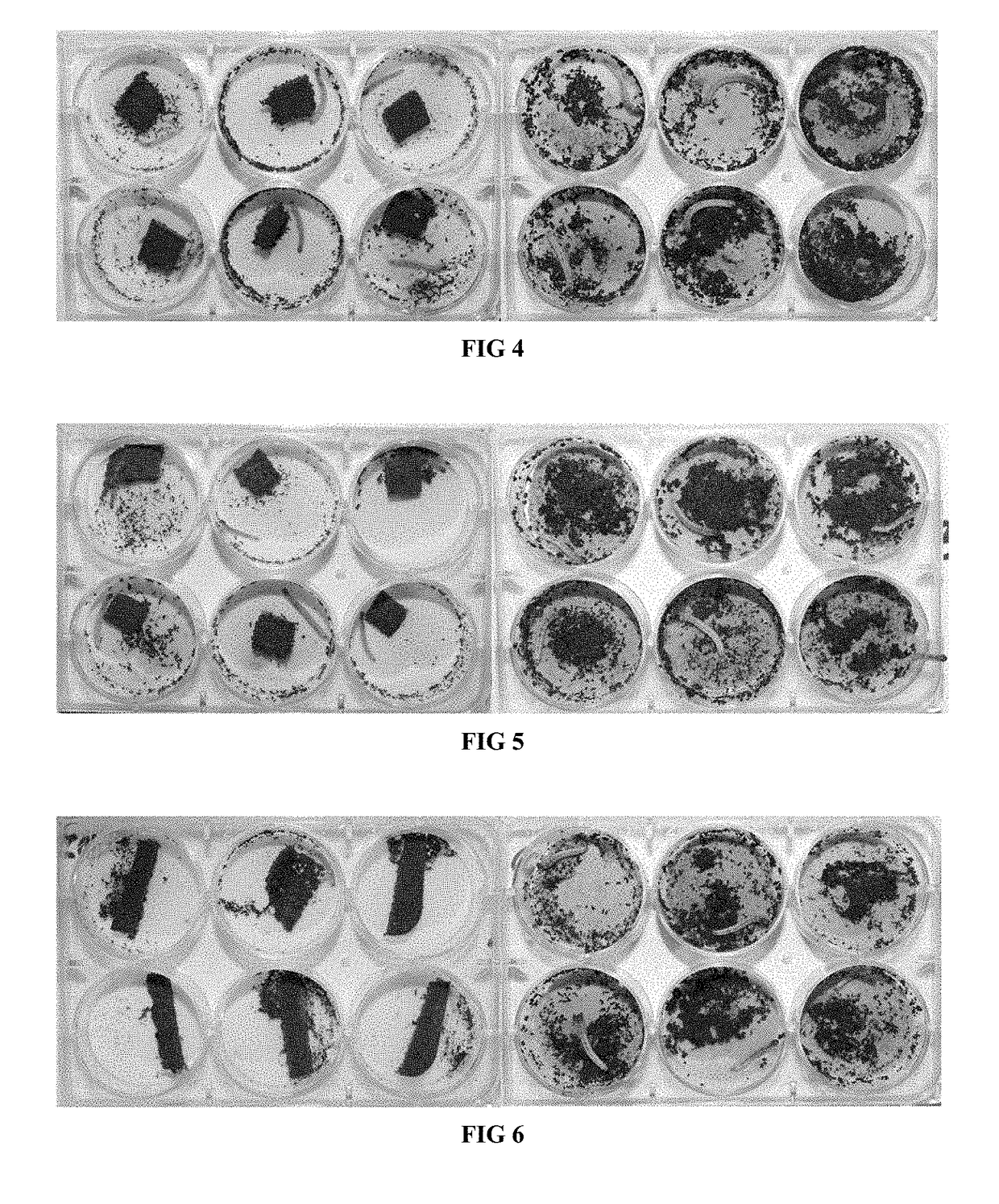 Artificial diet for ghost moth larvae and preparation method thereof