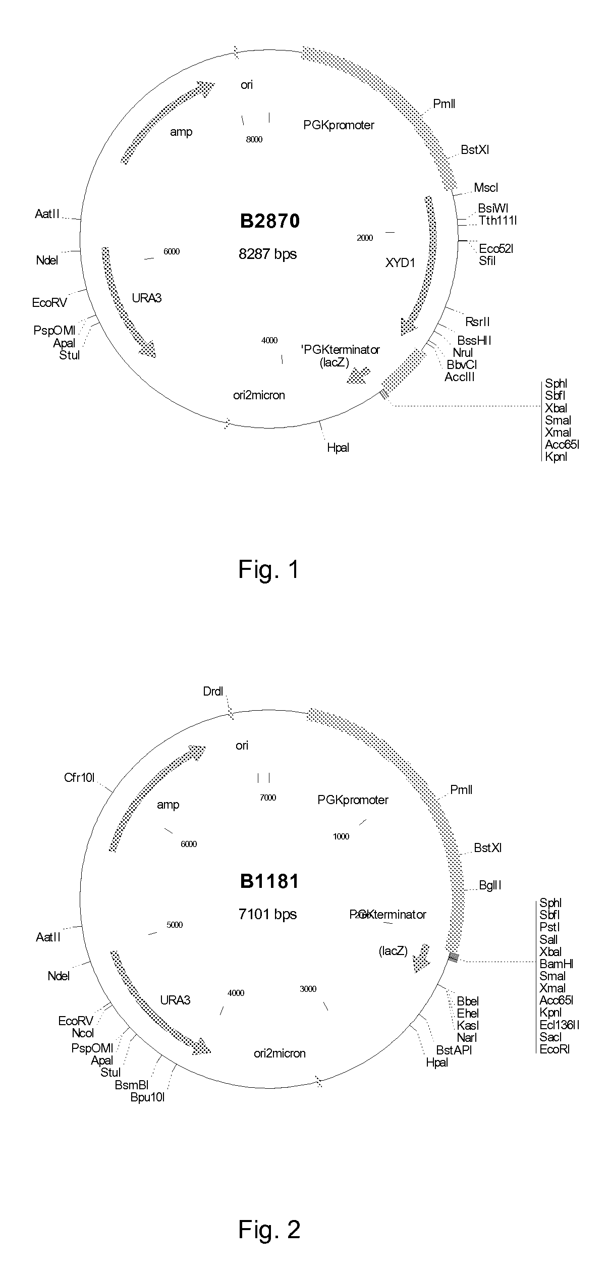 Manufacture of xylonic acid