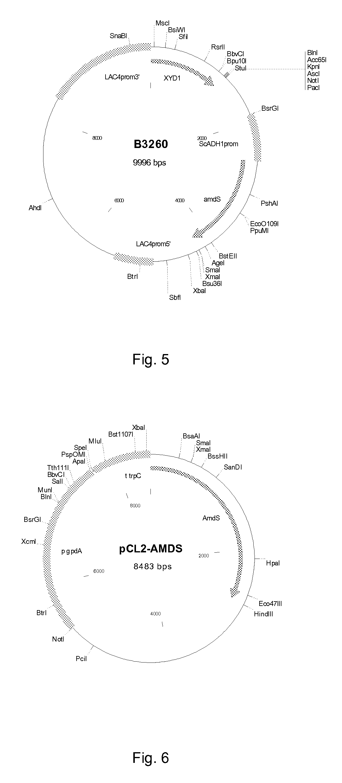 Manufacture of xylonic acid