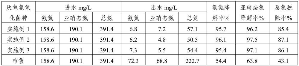 Method for enriching anaerobic ammonium oxidation bacteria by utilizing tannery wastewater and activated sludge of biochemical system of tannery wastewater