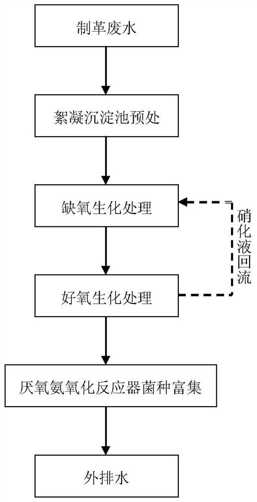 Method for enriching anaerobic ammonium oxidation bacteria by utilizing tannery wastewater and activated sludge of biochemical system of tannery wastewater