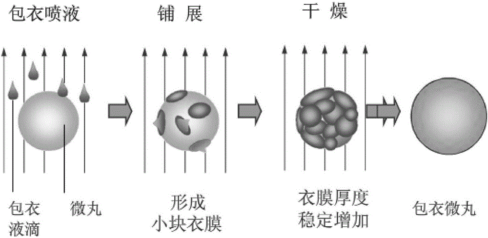 Esomeprazole magnesium enteric pellet capsule and preparation method thereof