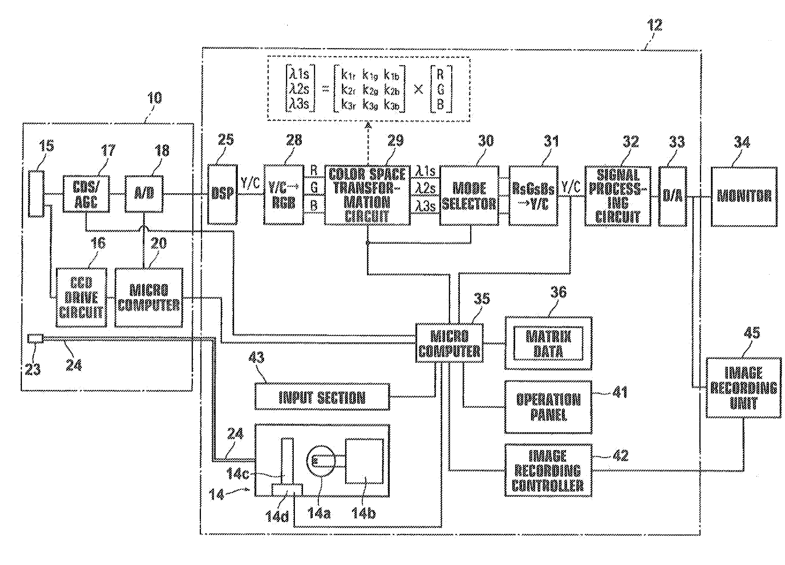 Electronic endoscope apparatus