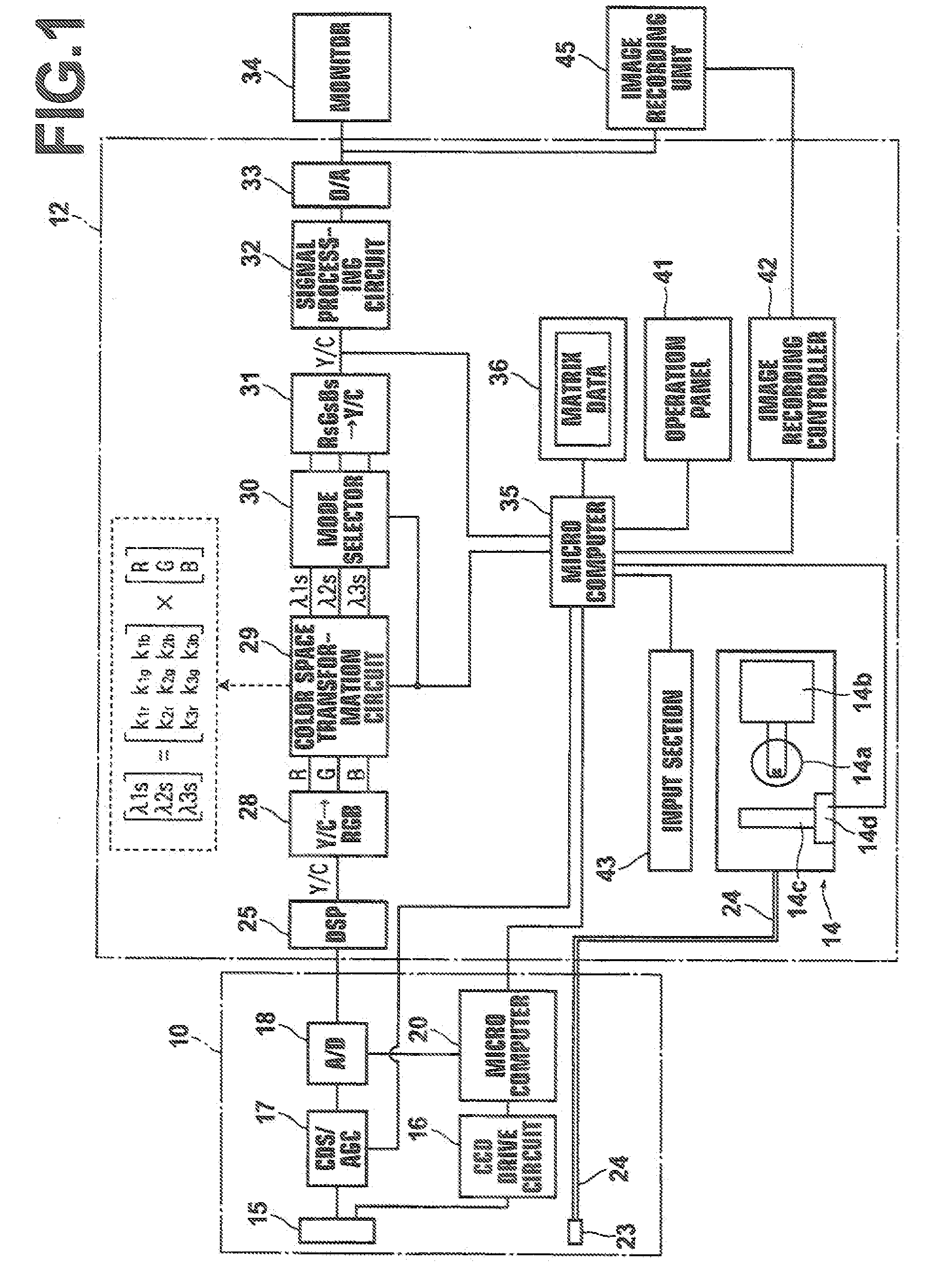 Electronic endoscope apparatus