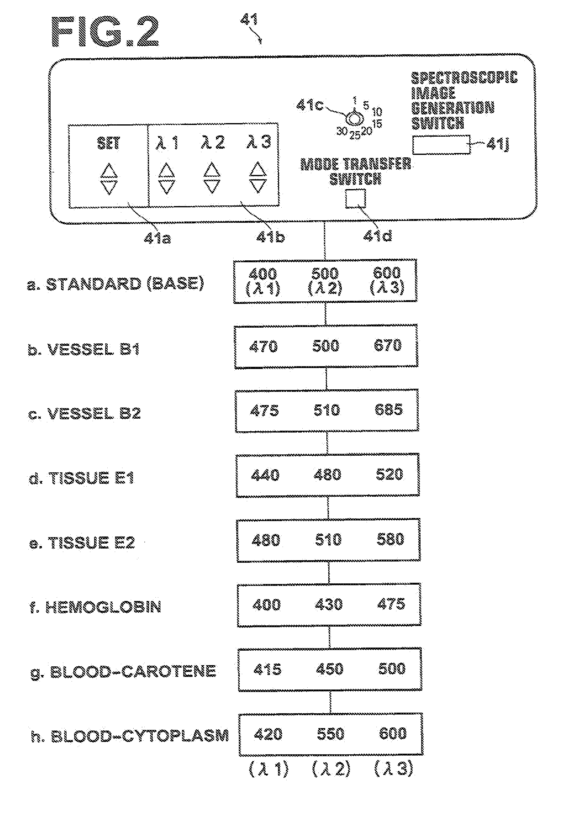 Electronic endoscope apparatus