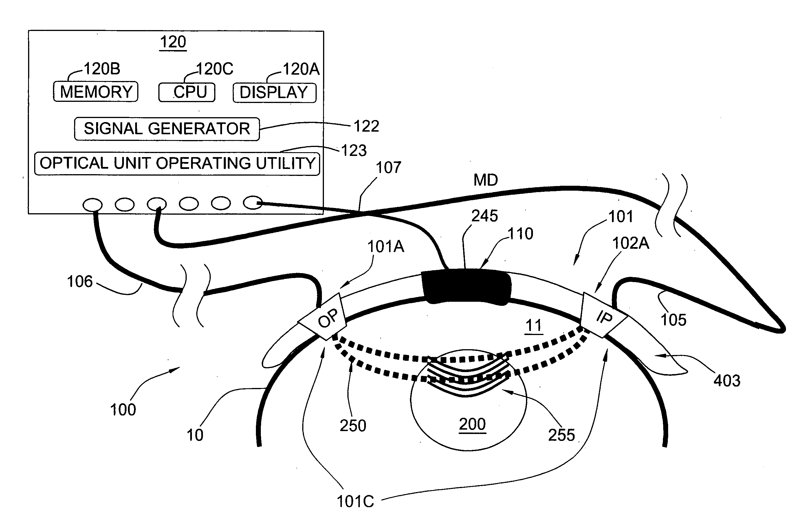 Noninvasive Measurements in a Human Body