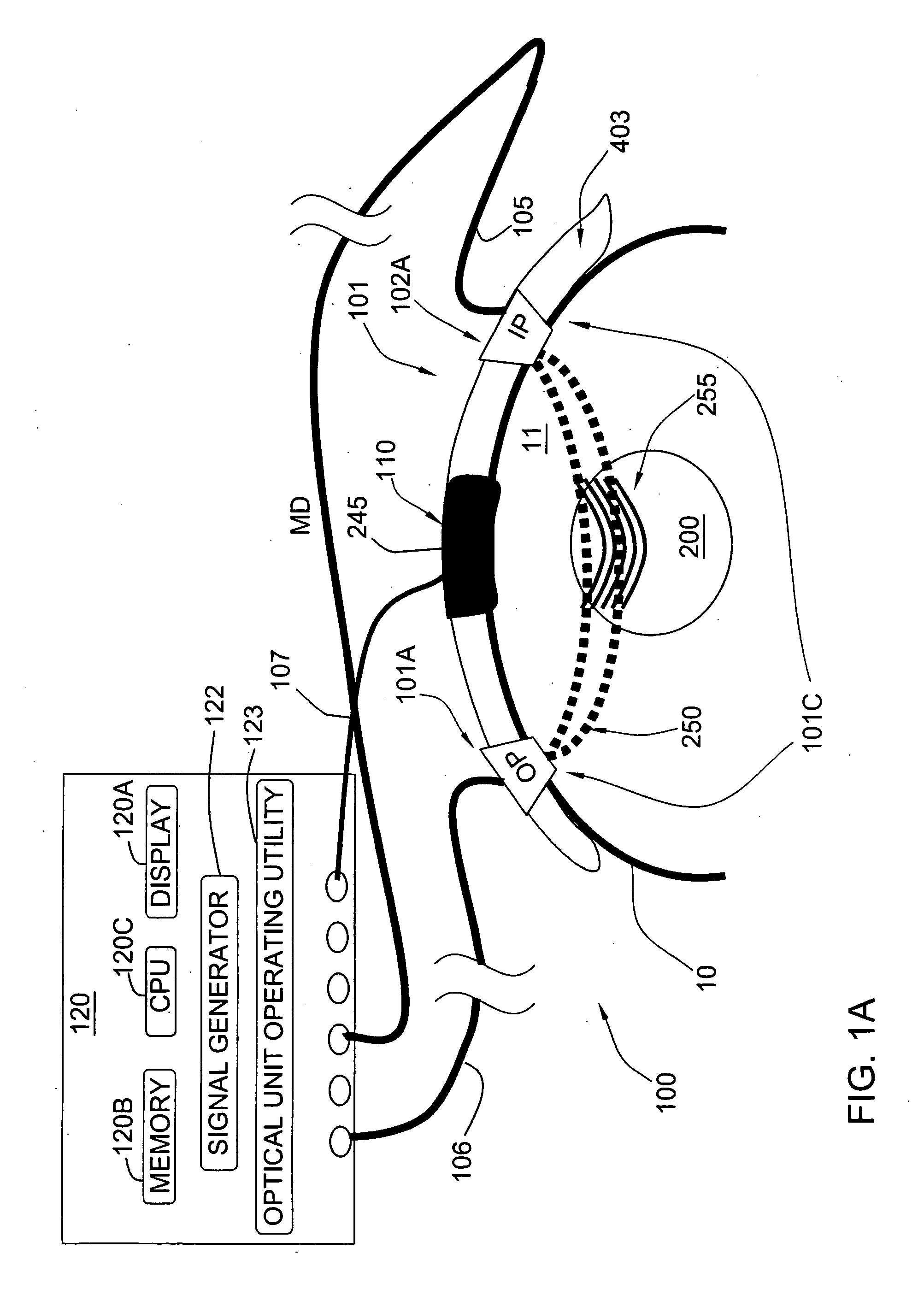 Noninvasive Measurements in a Human Body