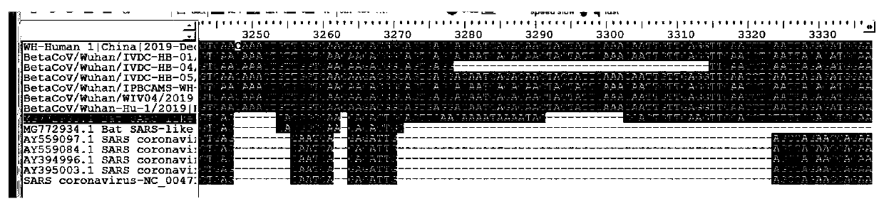 Primer group and kit for detecting novel coronavirus SARS-CoV-2