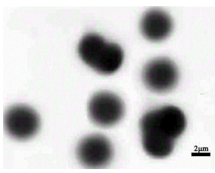 Suspension polymerization preparation method of polystyrene-coated ferriferrous oxide composite particle