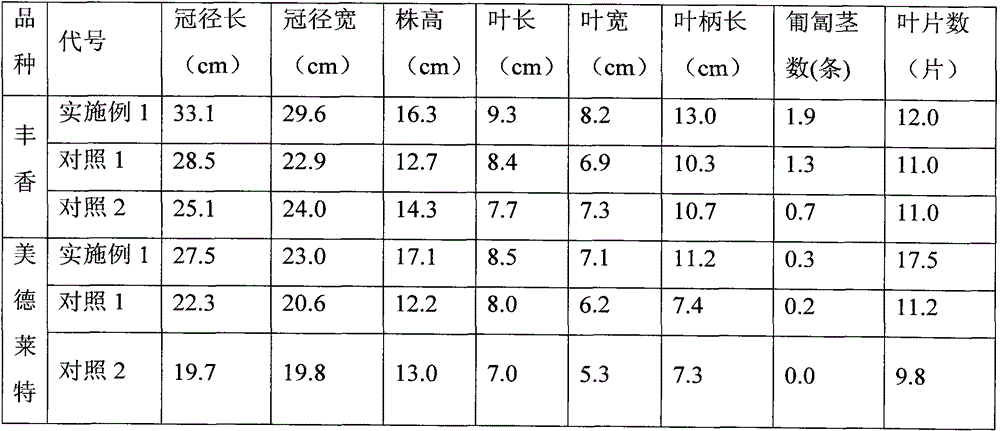 Composite substrate for strawberry soilless potting