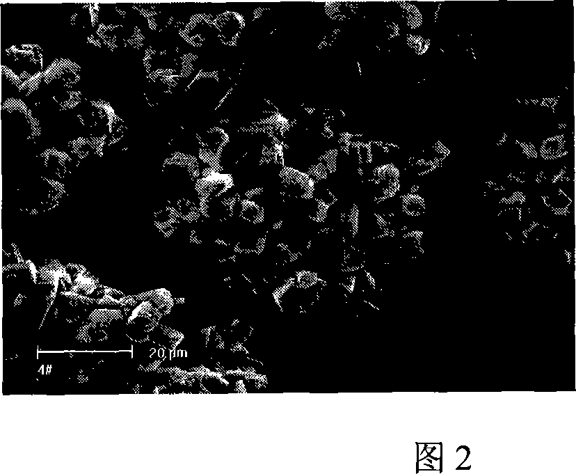 Method for preparing water softening aluminium stone of sodium aluminate solution carbonation resolving