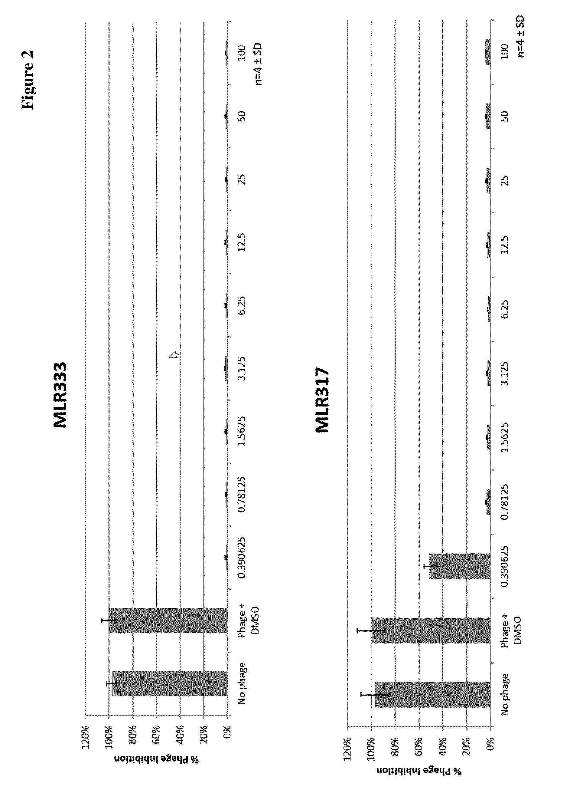 Ethoxyphenyl thienyl compounds and methods for the treatment of
bacterial infections