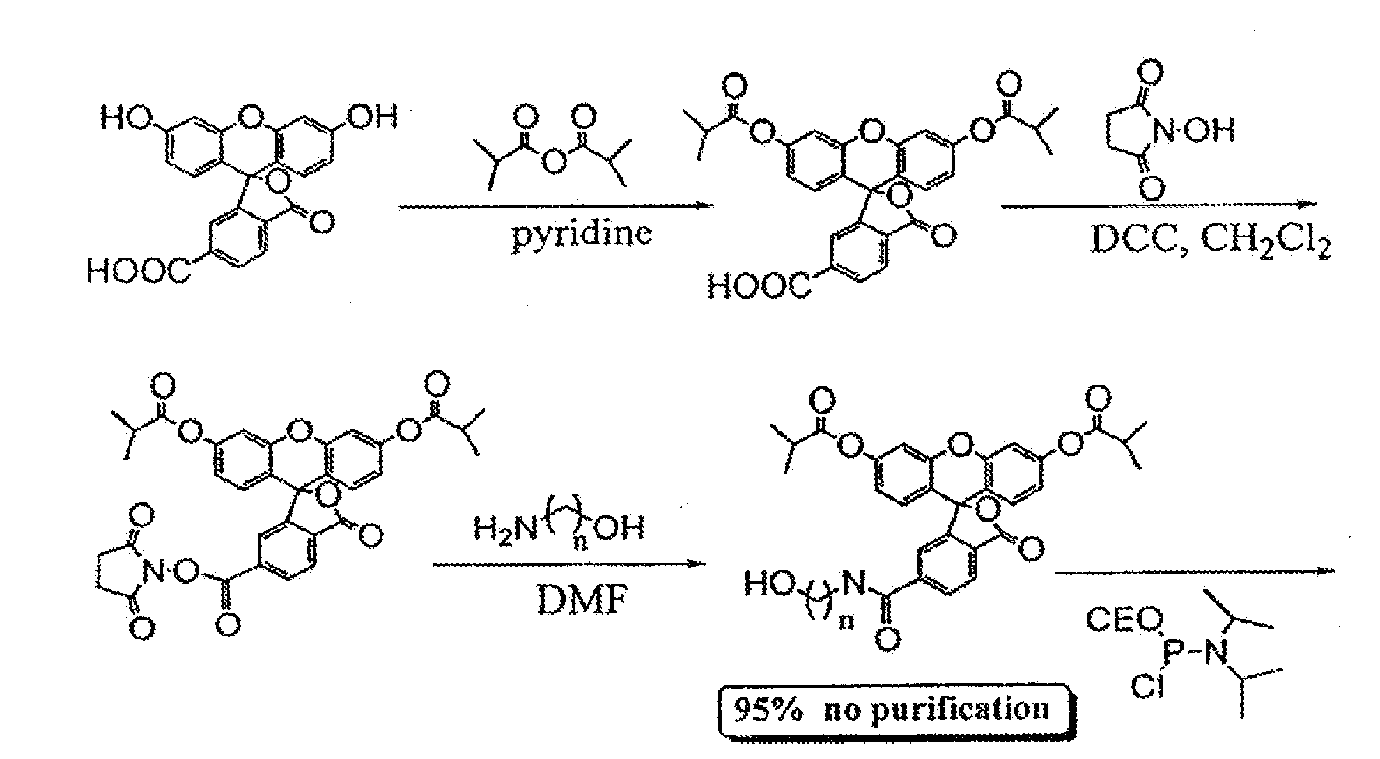 Methods and compositions for analyzing proteins