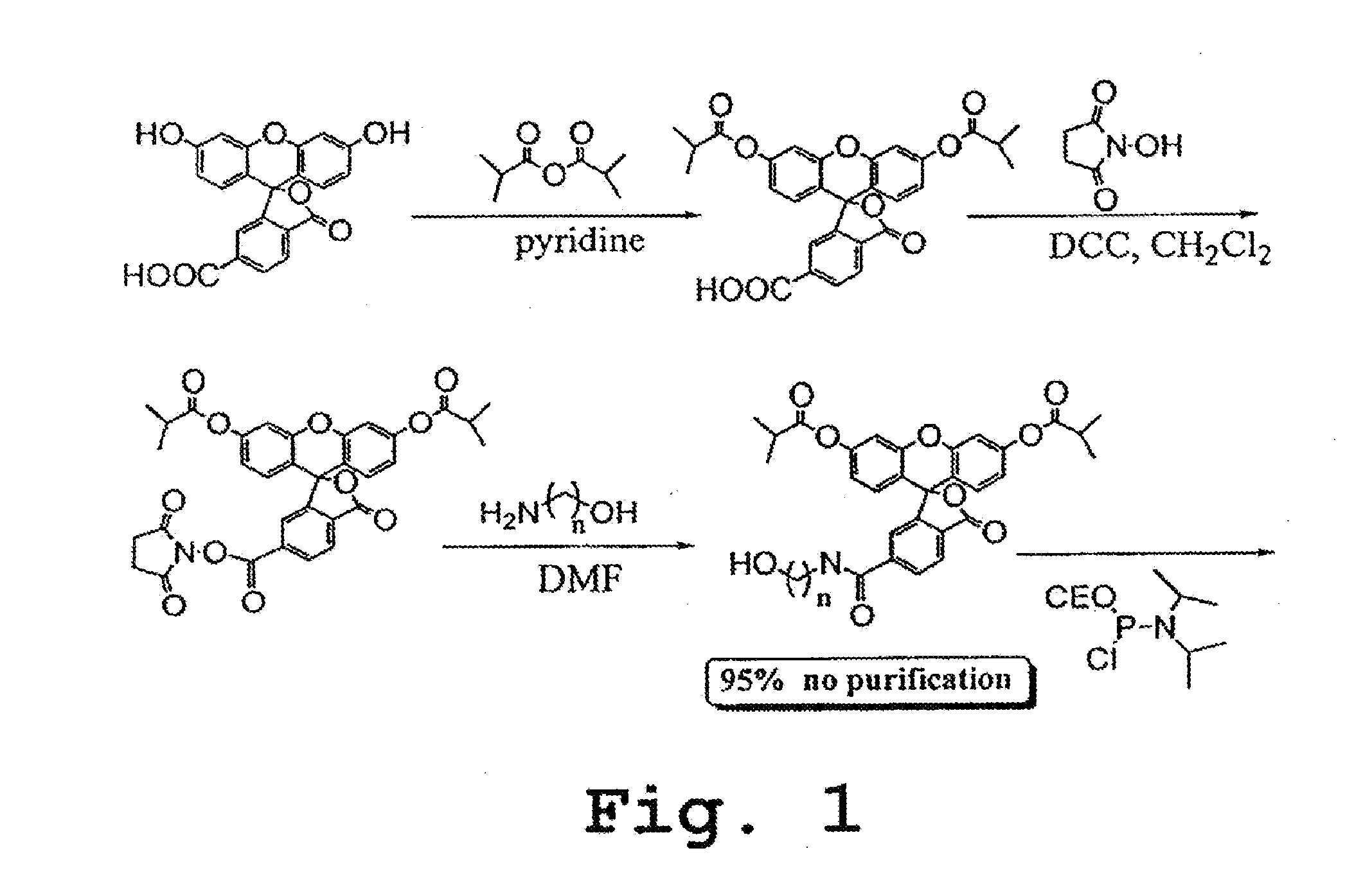 Methods and compositions for analyzing proteins