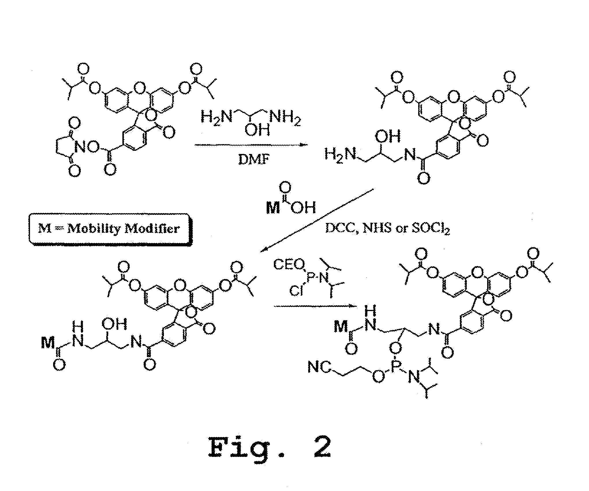 Methods and compositions for analyzing proteins