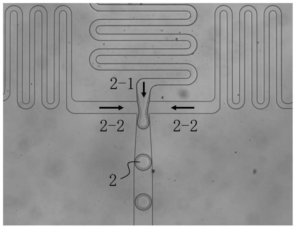 Photoresponsive gel microspheres for dPCR-method nucleic acid detection and application of photoresponsive gel microspheres in Escherichia coli detection