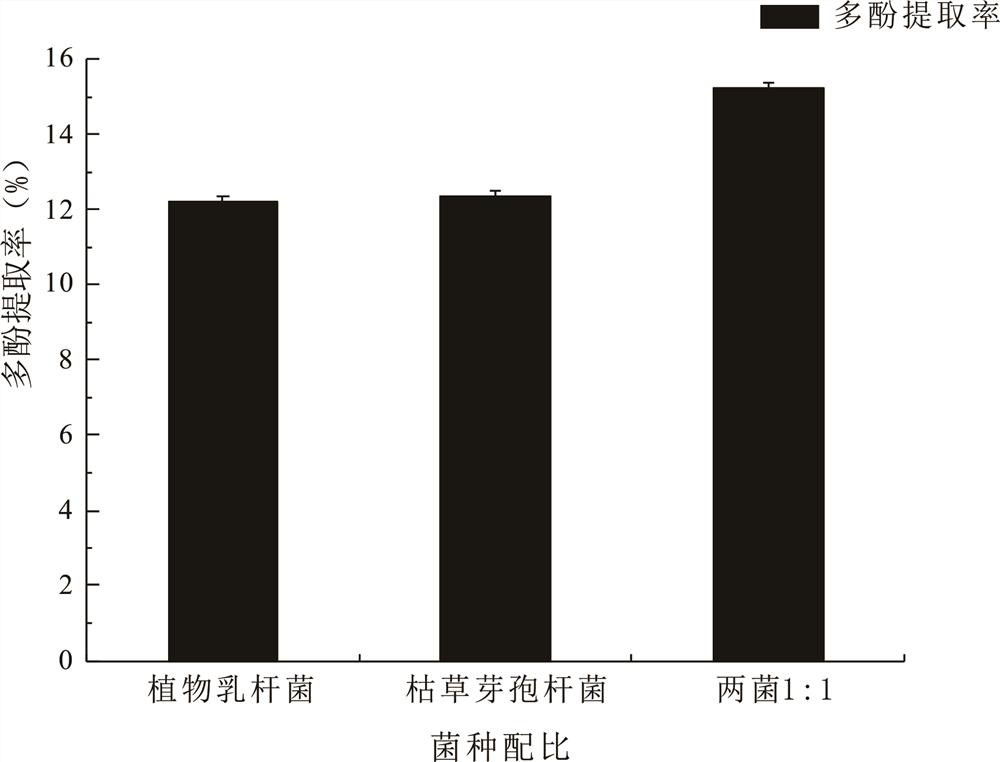 Preparation and application of fermentation compound bacterium and rhodomyrtus tomentosa fermentation extract