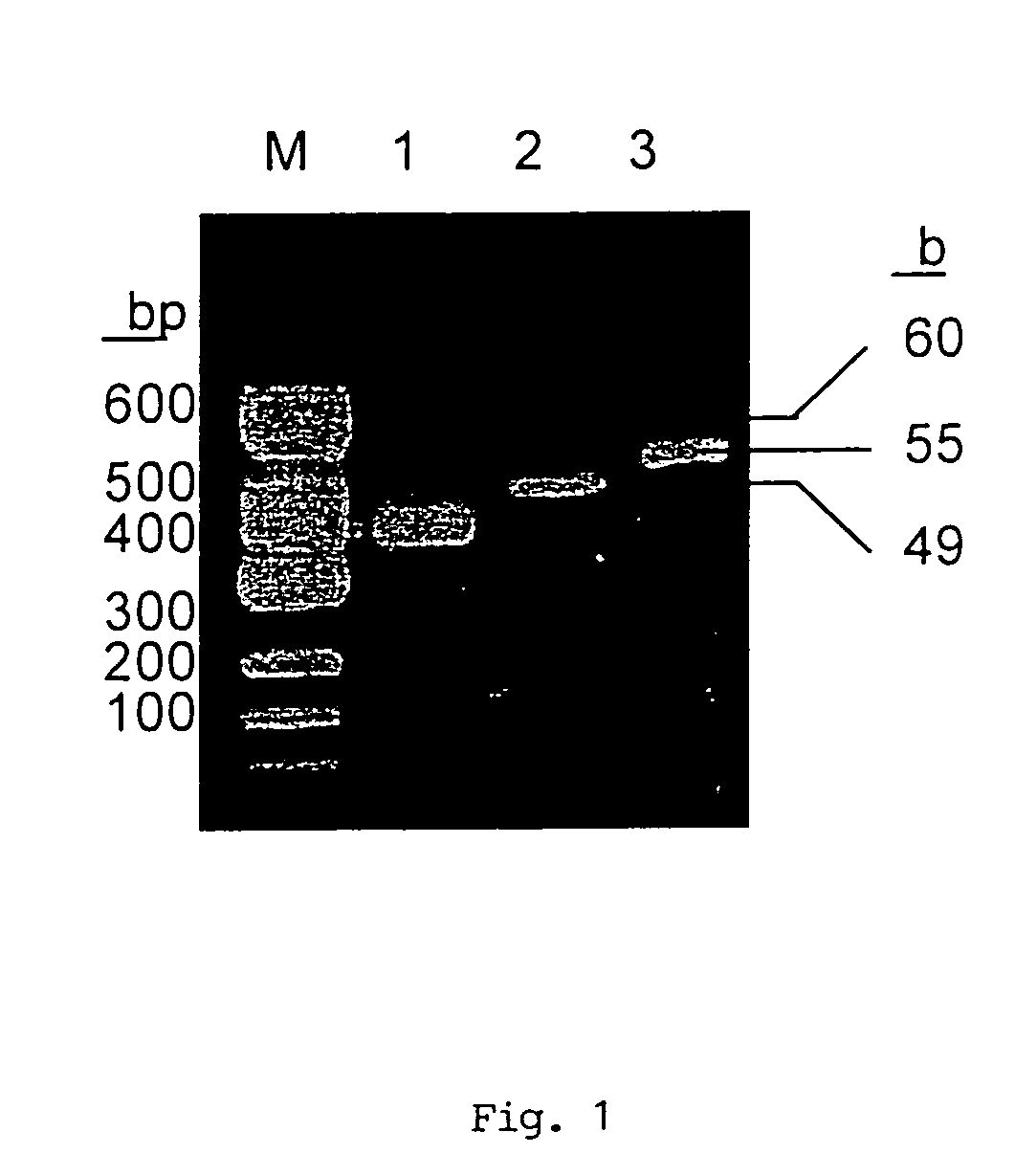 Preparation of biologically active molecules