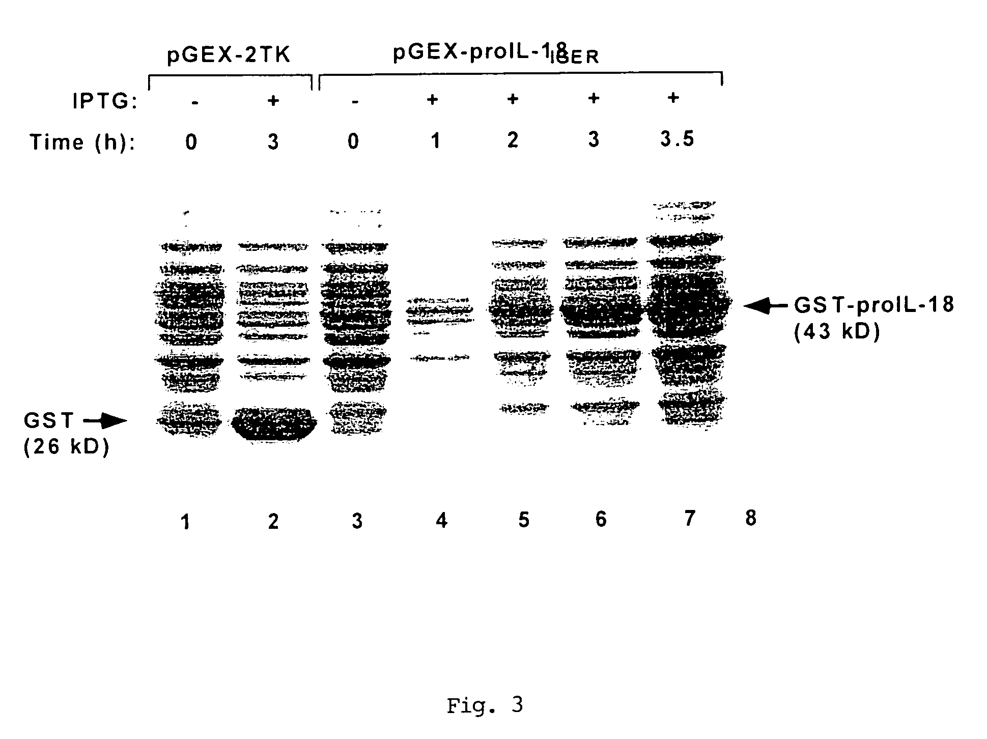 Preparation of biologically active molecules