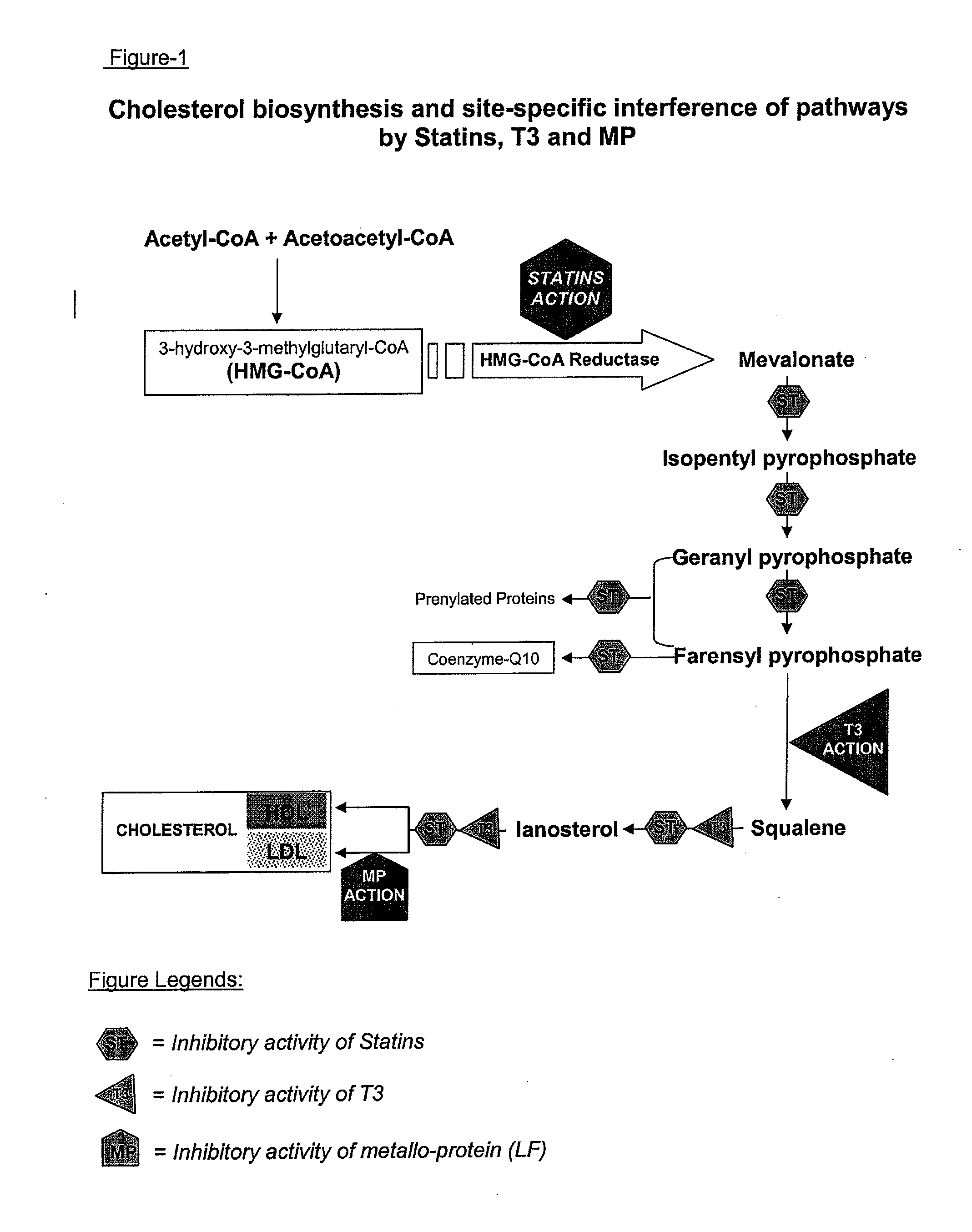 Metallo-protein and tocotrienol (mp-t3) compositions with non-protein-type metal chelator and uses thereof