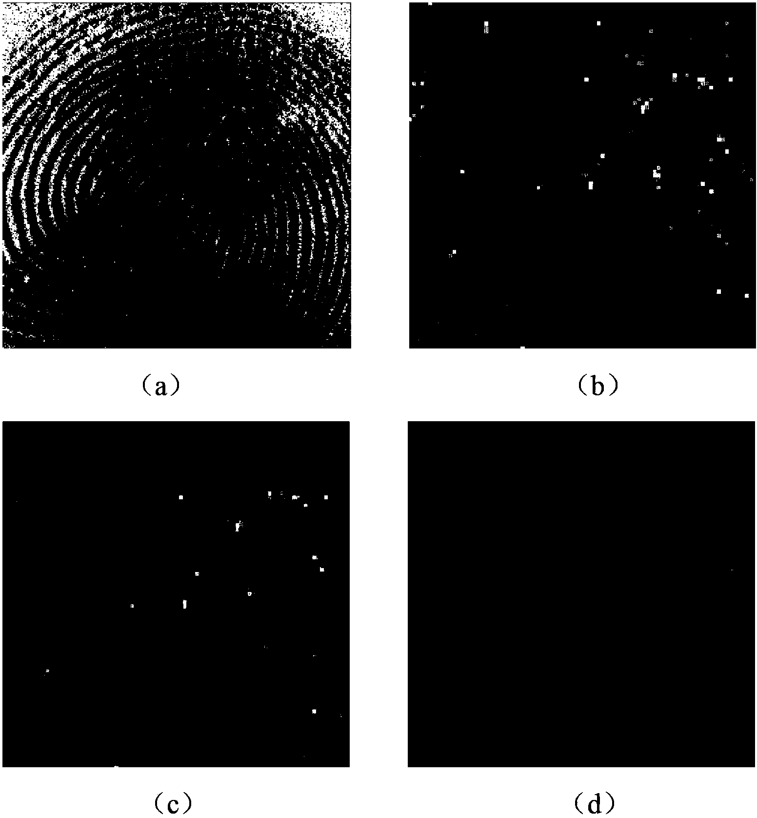 Non-local mean filtering method based on direction field estimation