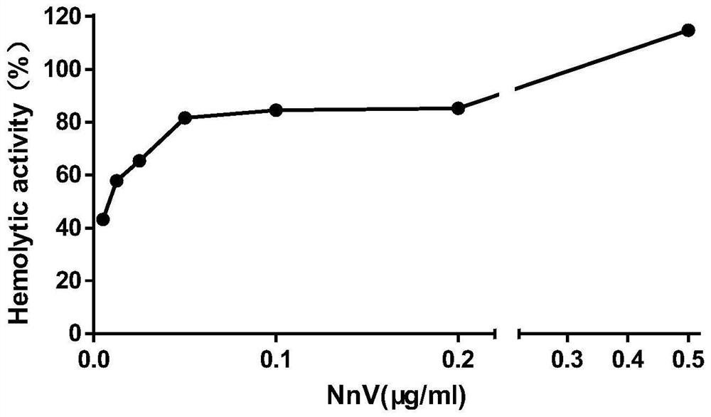 Application of epigallocatechin gallate in preparation of medicine for preventing or treating systemic jellyfish toxin poisoning