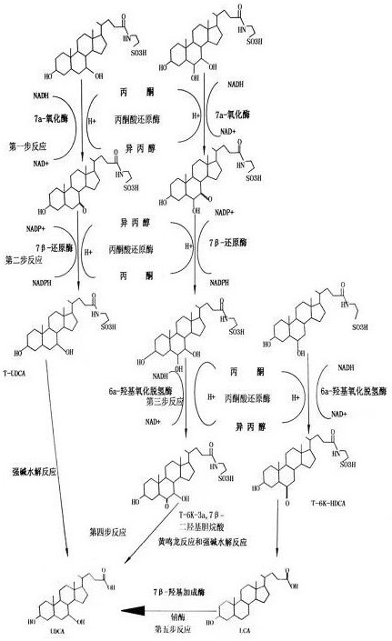 Method for synthesizing ursodesoxycholic acid by using blanking material after extraction of bilirubin from pig gall