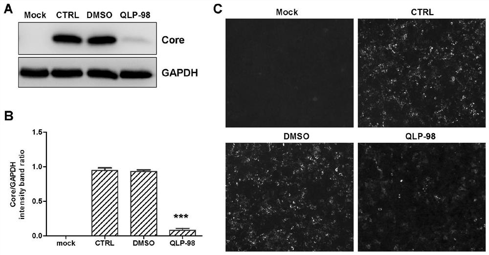 Application of synthetic peptide in preparation of medicine for preventing and treating hepatitis virus infection