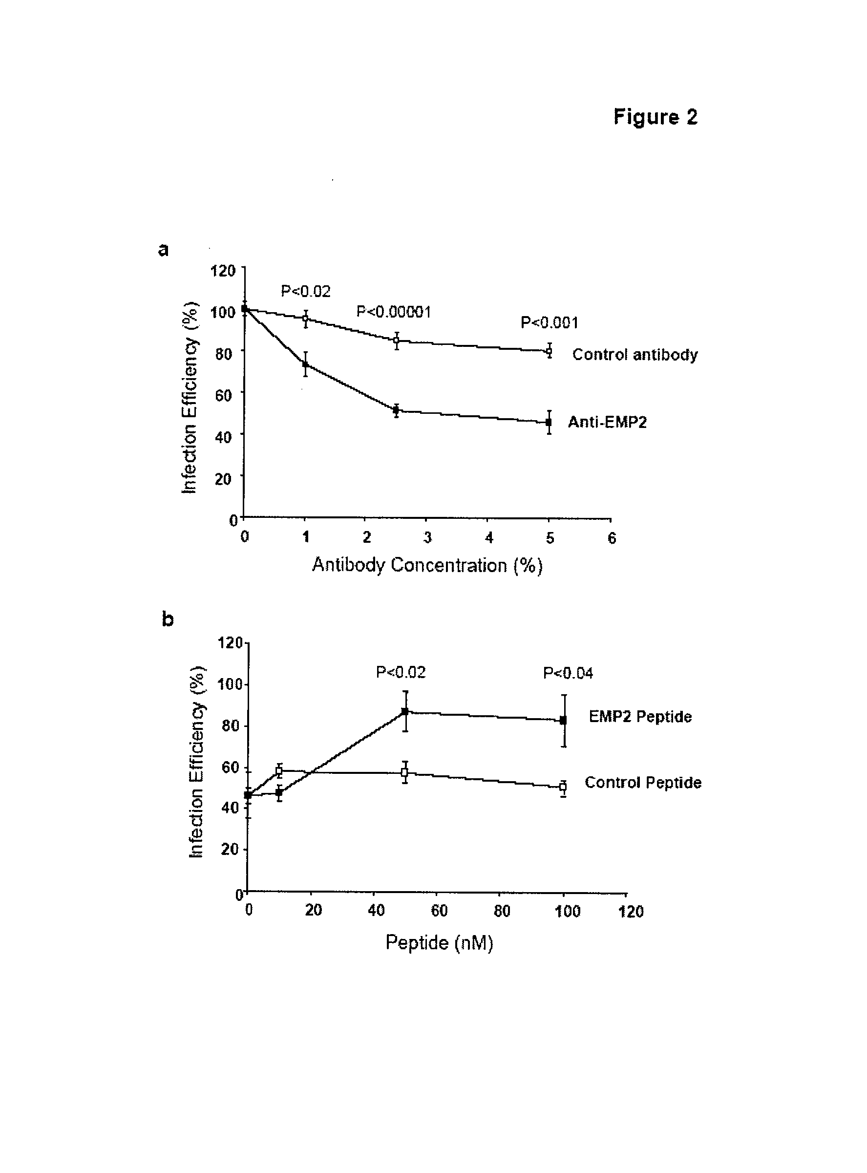 Prevention of chlamydia infection using SIRNA